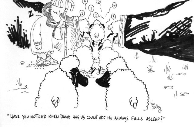 David Counting Sheep