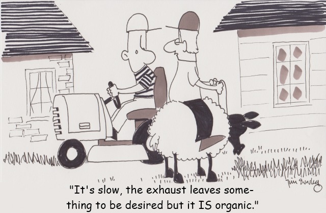 cartoon