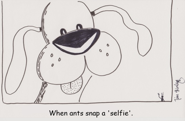 cartoon