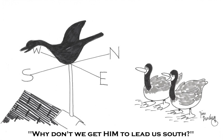 cartoon